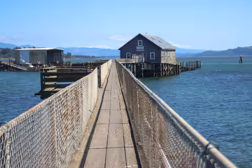 NEW 6400 SQFT BEACH MANSION, Ocean Views, Deck, Hot Tub, 3 Mins to Beach, Slp 25, photo 3