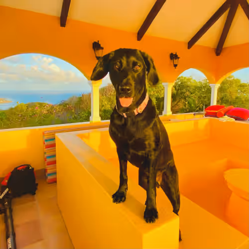 Dogs are welcome! Please contact us if you are interested in bringing your dog! at The Polaris Pointe of St. Croix