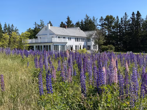 Spectacular Salt Water Farm on Penobscot Bay, photo 4