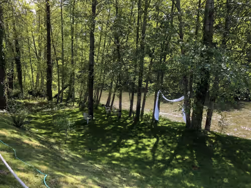 Forest upriver towards our little beach at Moon River Suites Wedding Party Lodging on River