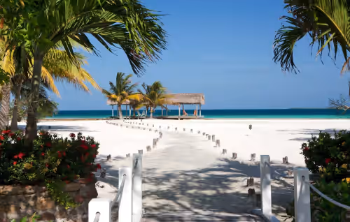 Royal Belize, photo 4