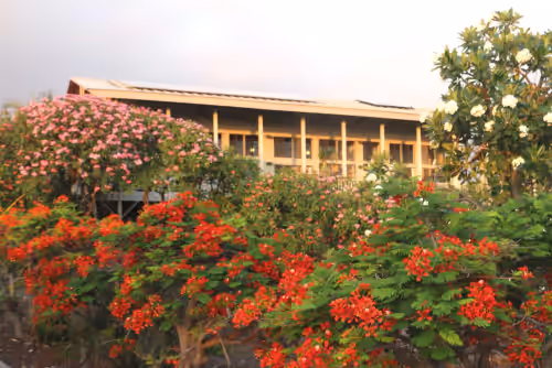 Kepharts' Ocean-view Hale:  A Home Away from Home