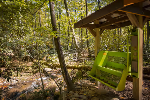 Secluded Swing along private creek at Private Waterfront Estate, 7 Cabins, Nestled on 500+ acres w/ waterfalls, trails
