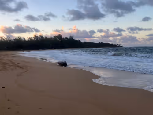 Huge 6 br/6 ba Beachfront, for big groups,A.C. accessible, in relaxed old Hawaii, photo 4