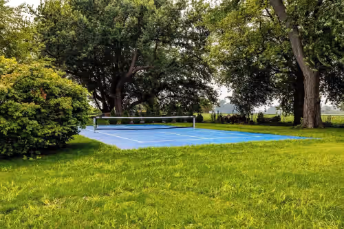 Pool, Pickleball and Sleeps over 30 People, photo 2