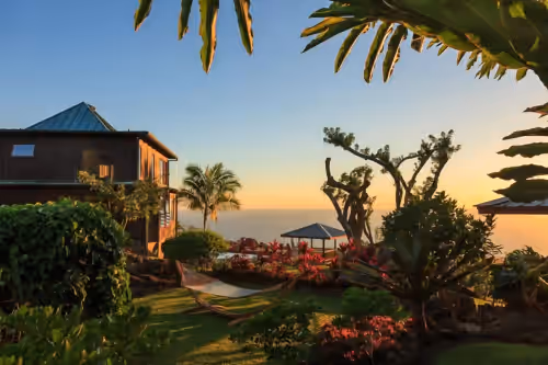 Elegant Polynesian Kona Coffee Estate In Heart Of Holualoa-Walk To Town!