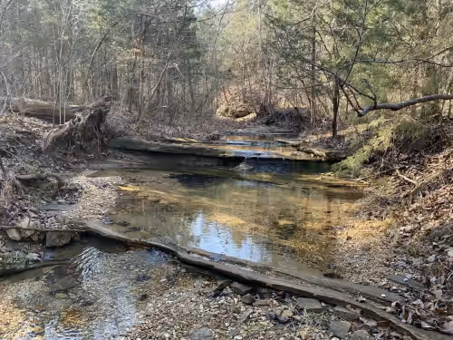 Creek on our property that is great for waking! Bring your water shoes or boots! at Private 42-Acre Lakefront Retreat w/