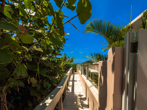 Palm Del Mar, photo 3