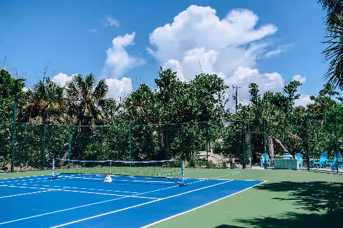 Private lighted Pickleball and Tennis Court at Sea Oats Luxury Estate