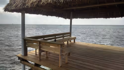 Blue Dolphin Beachfront Villa "Nicest House on the Island", photo 4