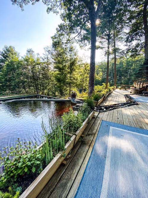Pool at 1890's Log Cabin ~ 230 Acre Private Reserve ~ 150’ Waterfall ~ Hiking Trails