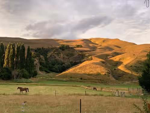 Queenstown Country Lodge, photo 3