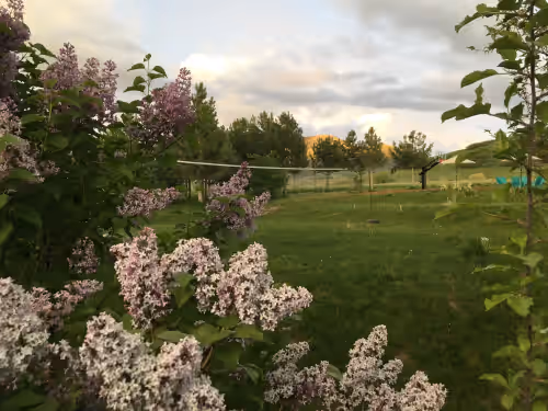 Volleyball at Gorgeous Location, Many Outdoor Activities, Sleeps 49 in Beds + Camping