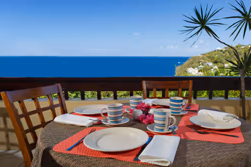 Sea view, fully staffed villa for Families & Retreats, groups of 9, photo 3
