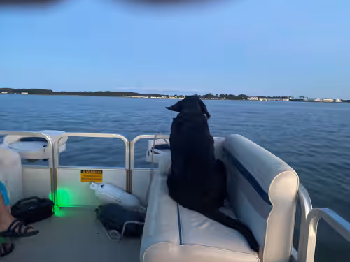 Property grounds at Beautiful waterfront 5br/2ba Optional boat rental