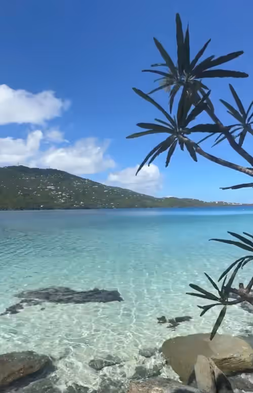 Beach at Sailfish Villa Luxury Beachfront Estate Magens Bay