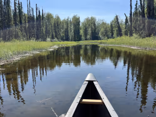 Grand Spruce Lodge, Lakefront near Talkeetna & Denali State Park, photo 4