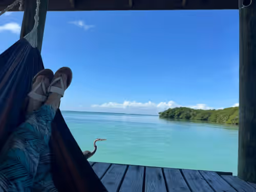 Therapy Cabins Belize, photo 3