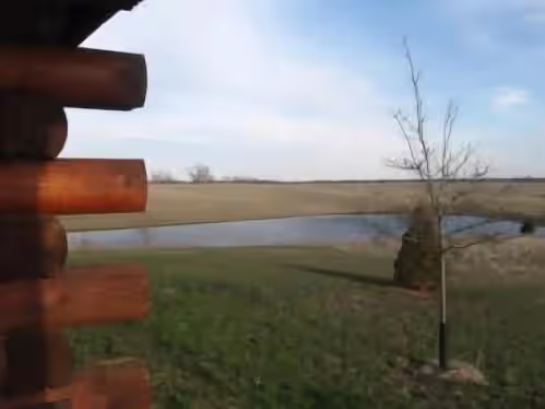 Property grounds at Foxtail Cabins