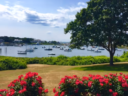 Overlooking Wychmere Harbor, 400 steps to beach, town & Nantucket ferry, photo 4