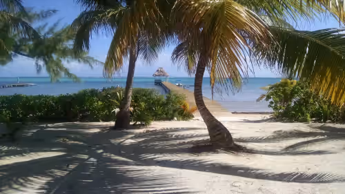 Blue Dolphin Beachfront Villa "Nicest House on the Island", photo 3