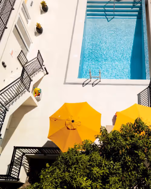 Luxurious Oasis for groups