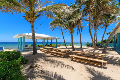 Beach House and Cottage with 2 Full Kitchens, Sleeps 16, photo 4