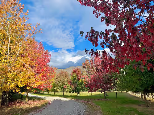 Queenstown Country Lodge, photo 4