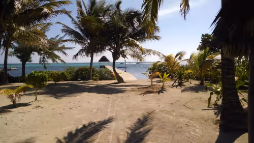 Beach at Blue Dolphin Beachfront Villa "Nicest House on the Island"