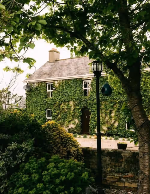 Fitz of Inch, photo 2