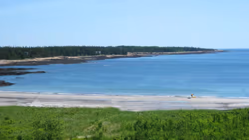 Sea Captain's on 200 acres & Sand Beach, 5 mins to Acadia Nat'l Park at Schoodic, photo 3