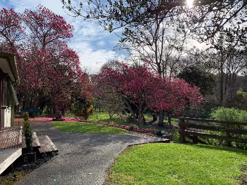 Property grounds at Omatua