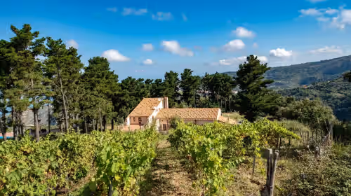 Exterior at Private Villa with Vineyard, Pool & Stunning Views