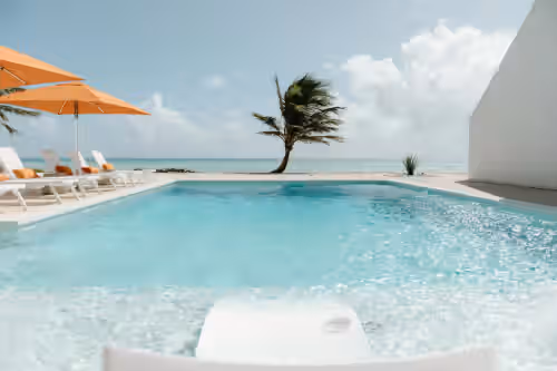 Ocean Front Luxury, photo 4