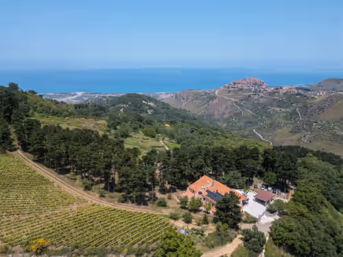 Private Villa with Vineyard, Pool & Stunning Views, photo 4