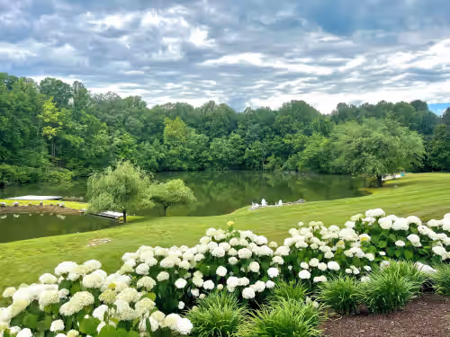 Ivy Retreat, photo 4