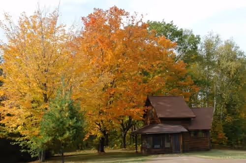 The Birches in Fall at 5 Unique Cabins And 2 Houses For A Shire In The Woods