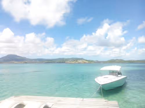 Unclassified image, 3 of 10, button at A haven of peace in a paradisiacal islet