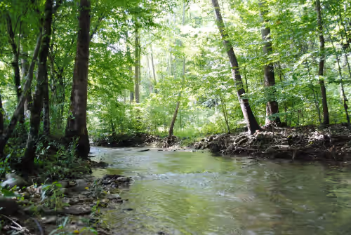 Private, Crk side, 2 mls to PF Parkway , Lg yard, pet and motorcycle friendly.