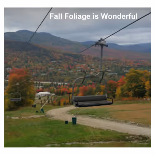 The ski slope is your backyard! Luxurious townhouse at Bretton Woods (sleeps 12)