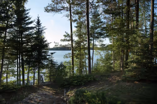 The view from the deck at BIRCH BRAE- Spectacular House On Big Lake For An Amazing Northwoods Experience