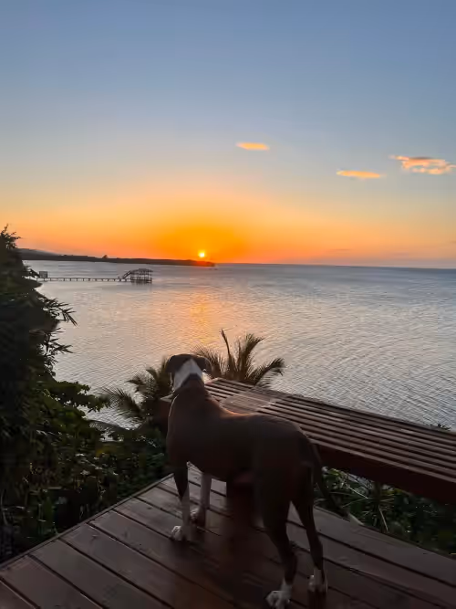 Property grounds at Villas Del Mar Spacious estate in Politilly Bight with pools, hot tubs, Spa